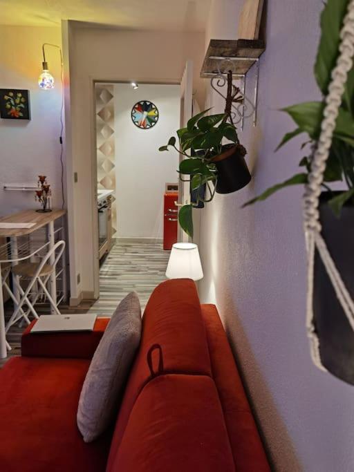 Cosy T1Bis Proche Centreville, Petit Port, Audencia Nantes Zewnętrze zdjęcie